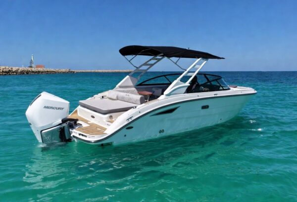 Sea Ray 250 SDX White