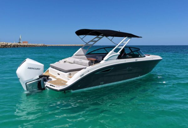 Sea Ray 250 SDX