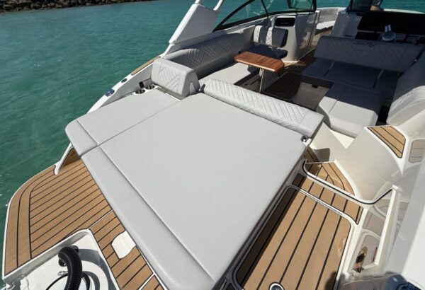 Sea Ray 250 Sunpad